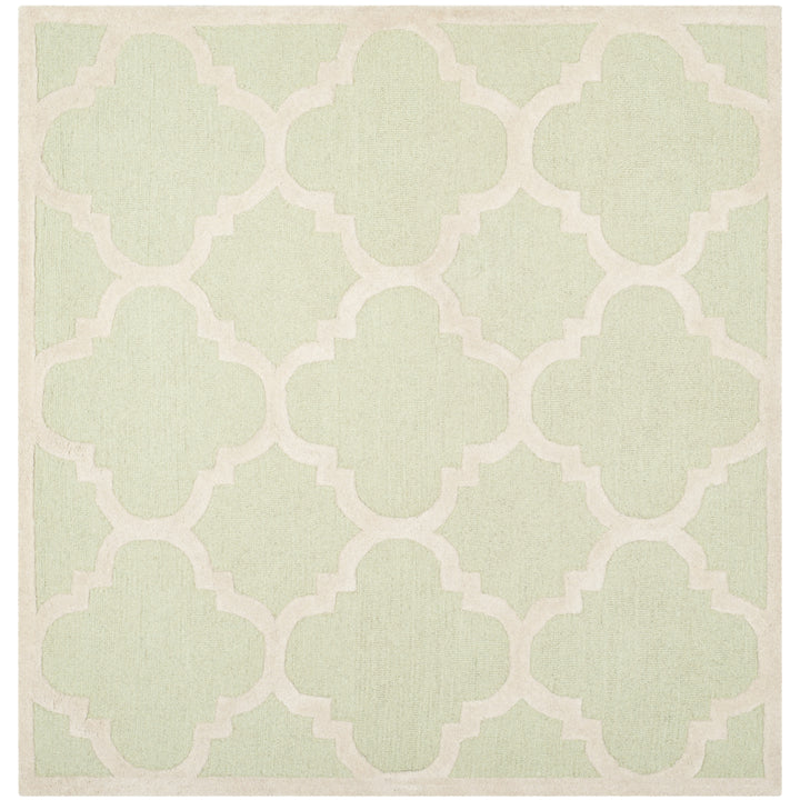 SAFAVIEH Cambridge CAM140B Light Green / Ivory Rug Image 9