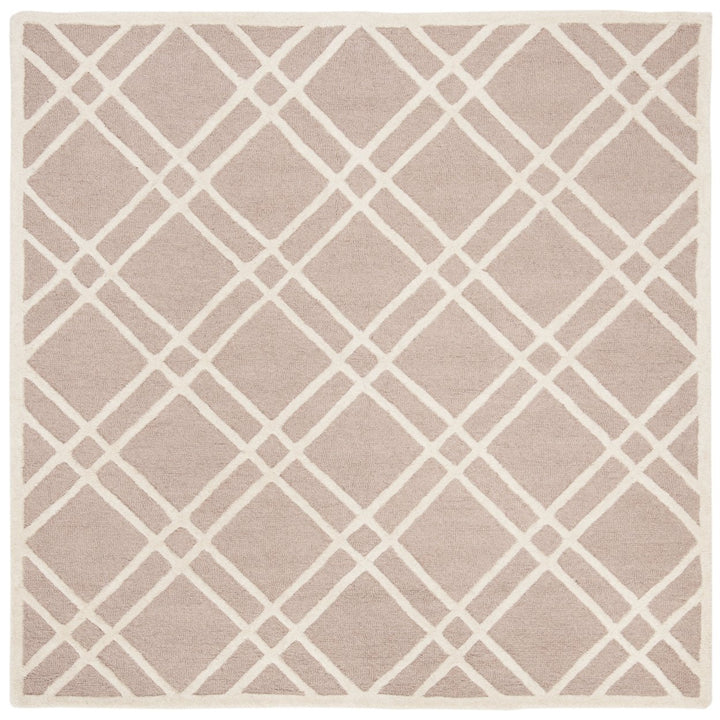 SAFAVIEH Cambridge CAM142J Handmade Beige / Ivory Rug Image 6