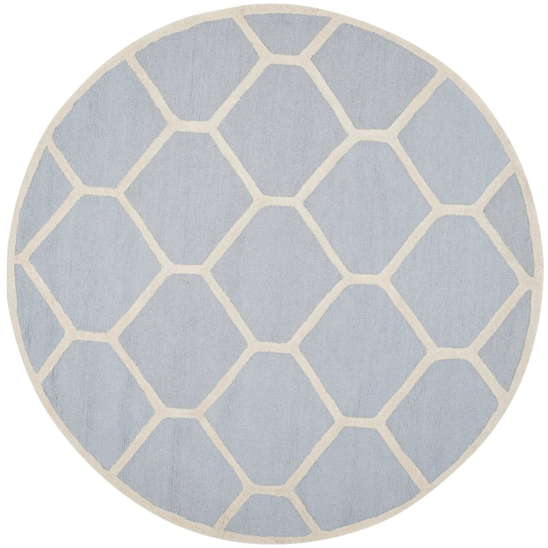 SAFAVIEH Cambridge CAM144A Light Blue / Ivory Rug Image 8