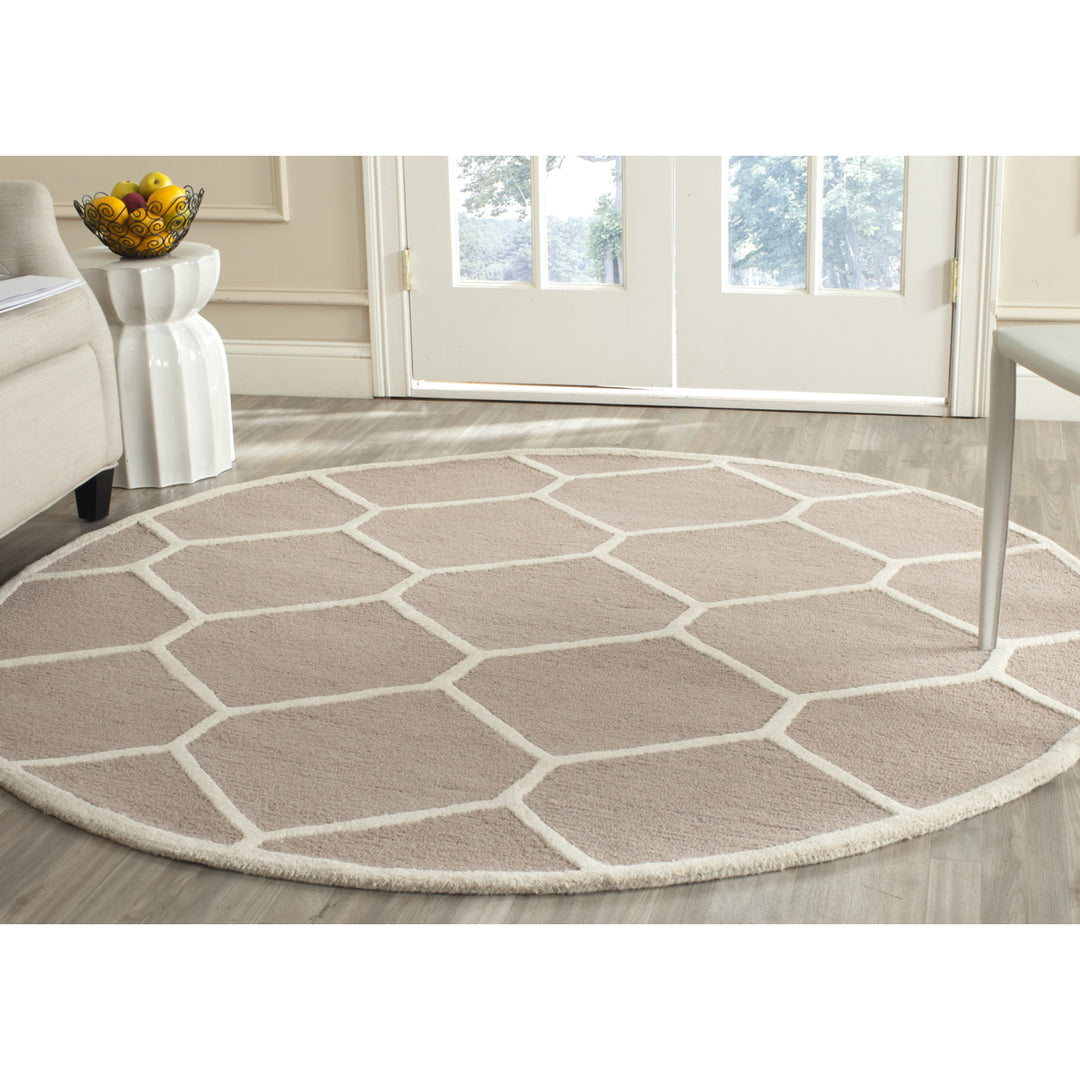 SAFAVIEH Cambridge CAM144J Handmade Beige / Ivory Rug Image 2