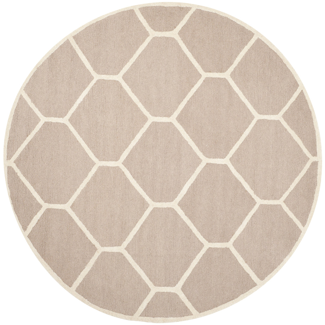 SAFAVIEH Cambridge CAM144J Handmade Beige / Ivory Rug Image 4