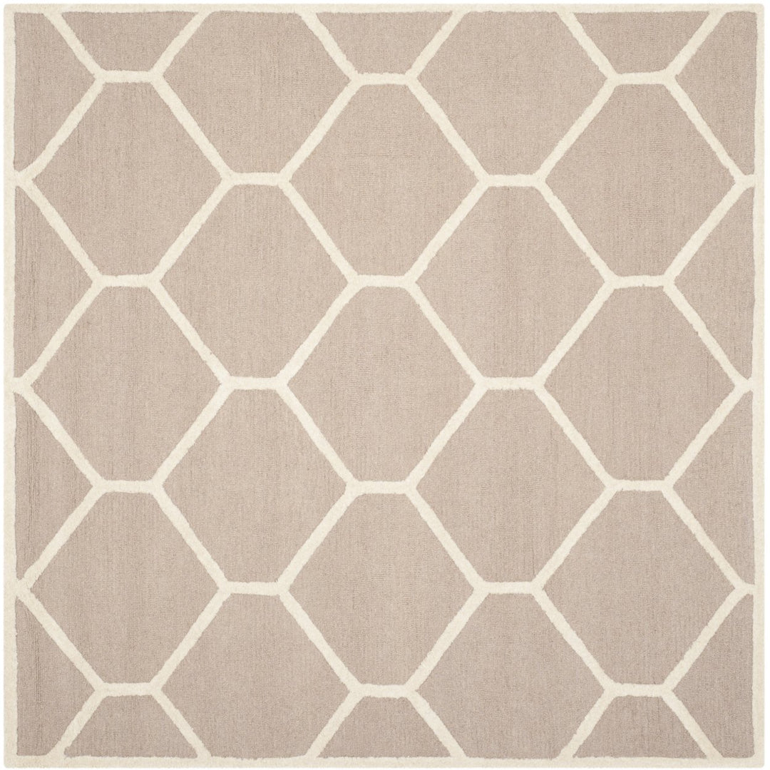 SAFAVIEH Cambridge CAM144J Handmade Beige / Ivory Rug Image 6