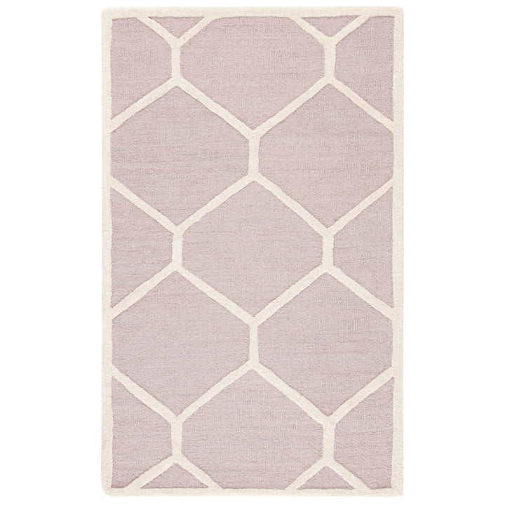 SAFAVIEH Cambridge CAM144J Handmade Beige / Ivory Rug Image 8