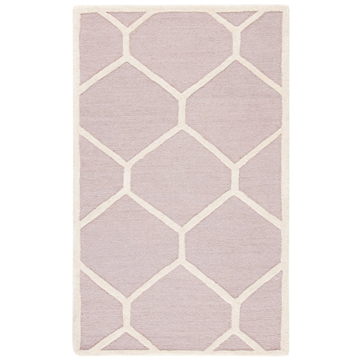 SAFAVIEH Cambridge CAM144J Handmade Beige / Ivory Rug Image 1