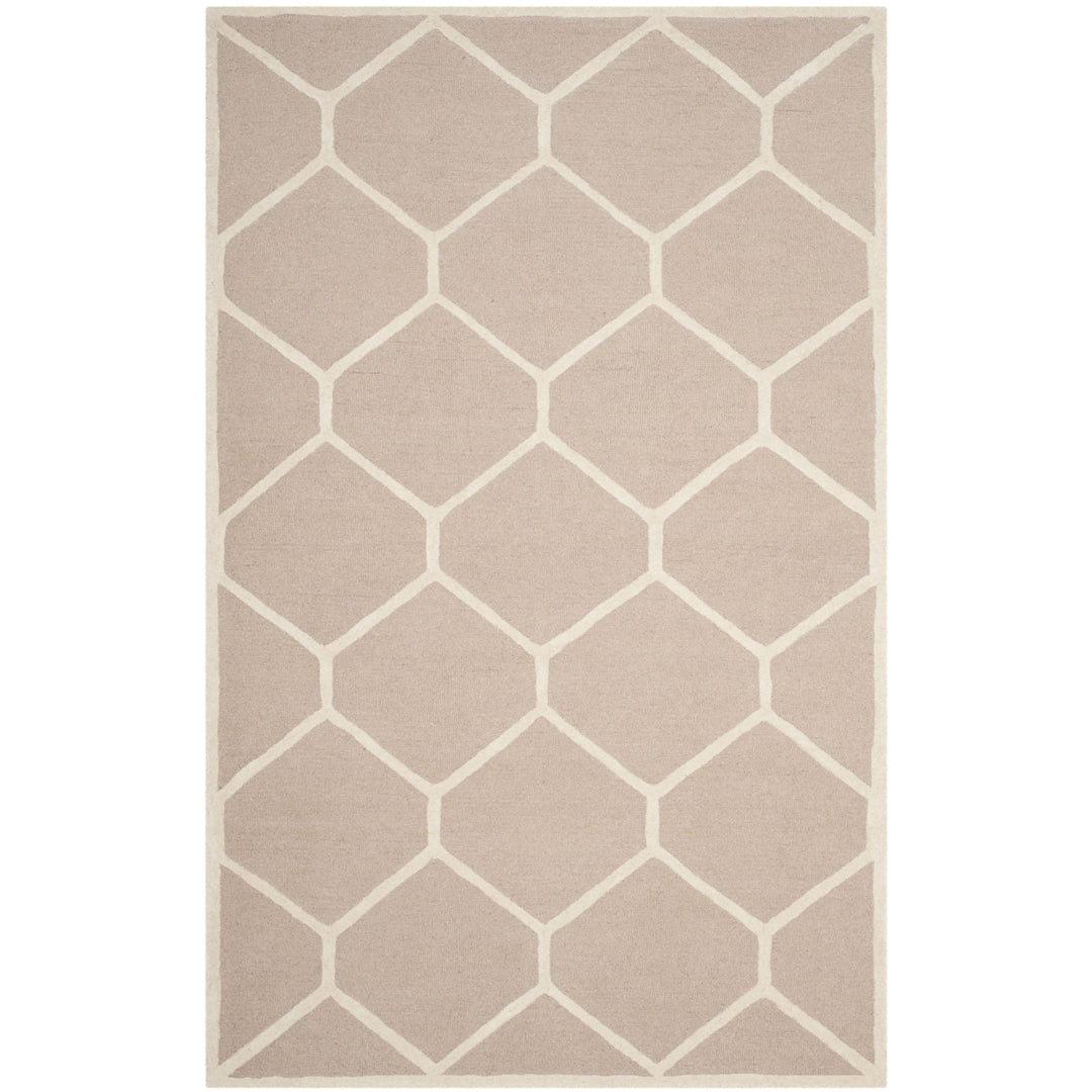 SAFAVIEH Cambridge CAM144J Handmade Beige / Ivory Rug Image 10