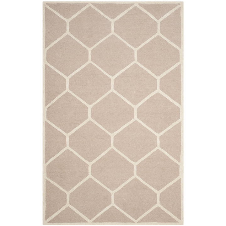 SAFAVIEH Cambridge CAM144J Handmade Beige / Ivory Rug Image 10