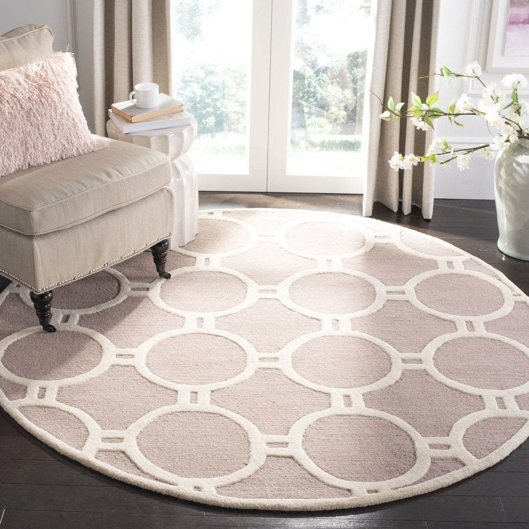 SAFAVIEH Cambridge CAM145J Handmade Beige / Ivory Rug Image 2