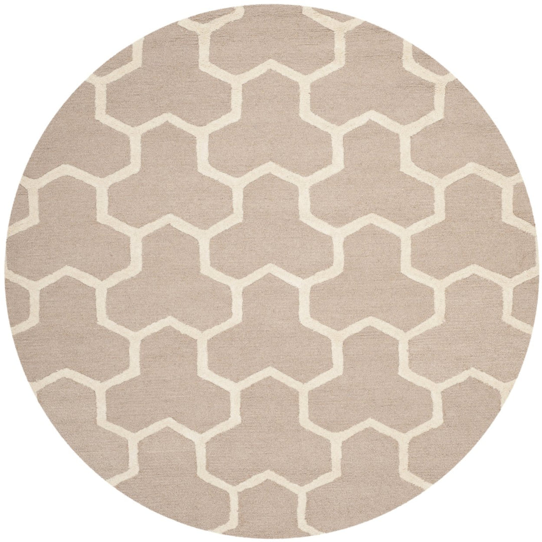 SAFAVIEH Cambridge CAM146J Handmade Beige / Ivory Rug Image 4