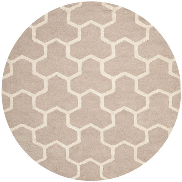 SAFAVIEH Cambridge CAM146J Handmade Beige / Ivory Rug Image 4