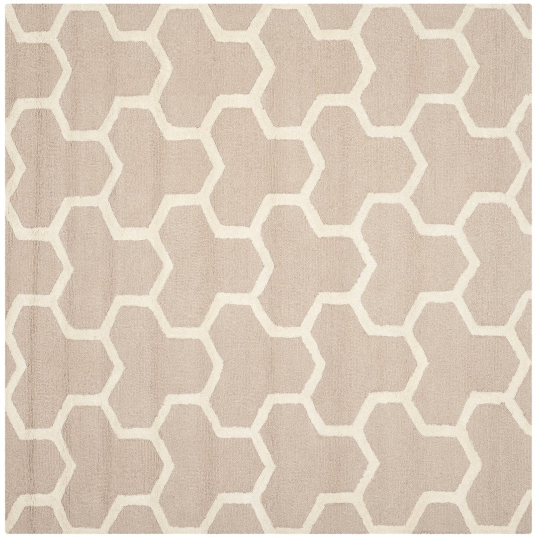 SAFAVIEH Cambridge CAM146J Handmade Beige / Ivory Rug Image 1