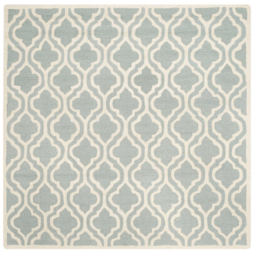 SAFAVIEH Cambridge CAM152A Handmade Spa / Ivory Rug Image 4