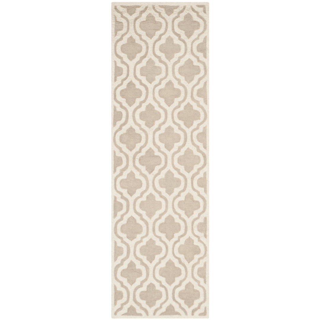 SAFAVIEH Cambridge CAM152B Handmade Mocha / Ivory Rug Image 3