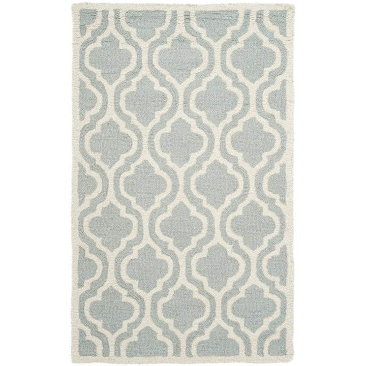 SAFAVIEH Cambridge CAM152A Handmade Spa / Ivory Rug Image 6