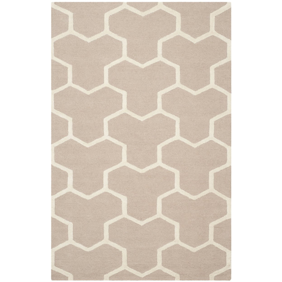 SAFAVIEH Cambridge CAM146J Handmade Beige / Ivory Rug Image 10