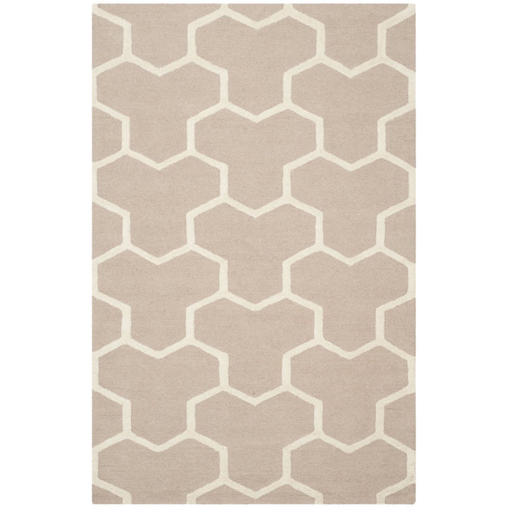 SAFAVIEH Cambridge CAM146J Handmade Beige / Ivory Rug Image 10