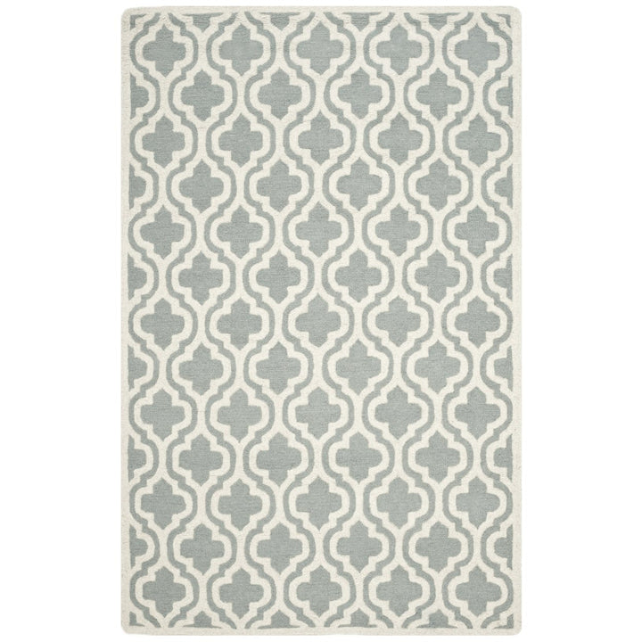 SAFAVIEH Cambridge CAM152A Handmade Spa / Ivory Rug Image 7