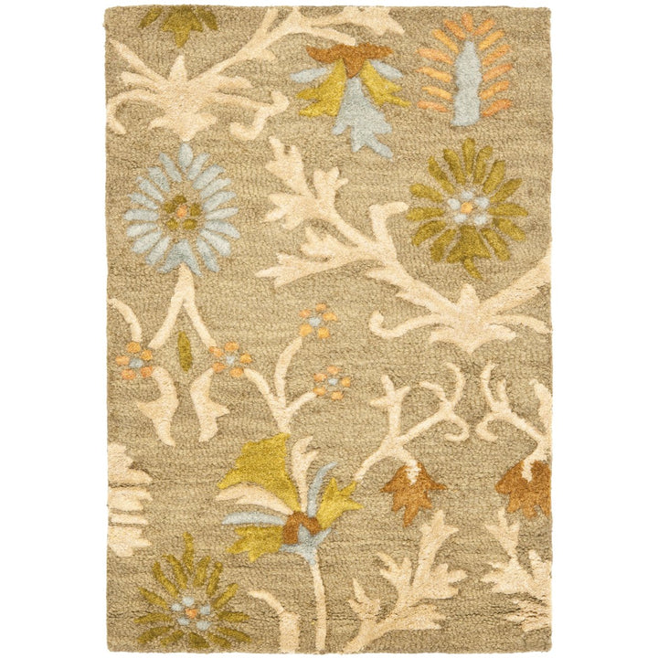 SAFAVIEH Cambridge CAM235A Handmade Moss / Multi Rug Image 4