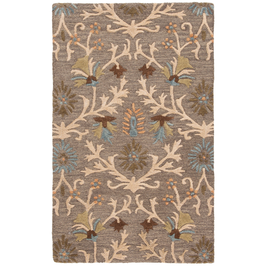 SAFAVIEH Cambridge CAM235A Handmade Moss / Multi Rug Image 6