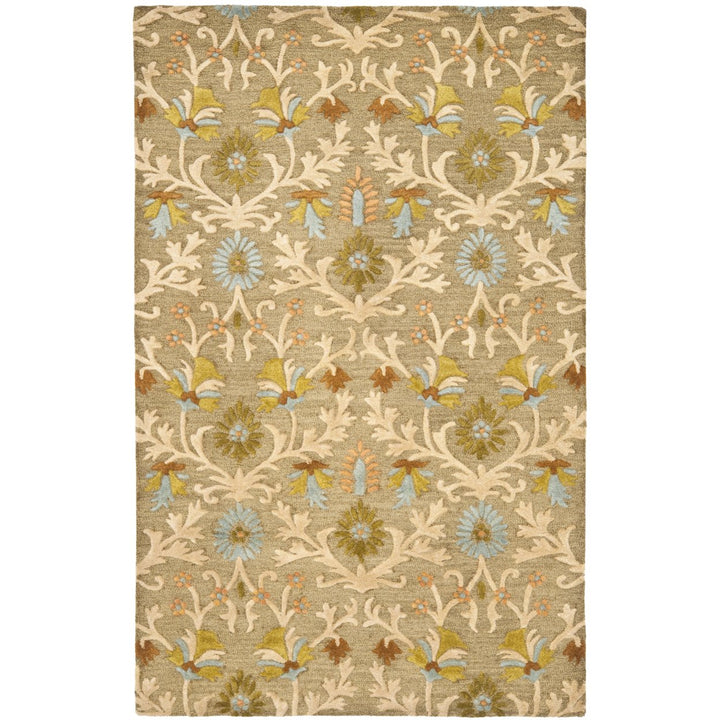 SAFAVIEH Cambridge CAM235A Handmade Moss / Multi Rug Image 9