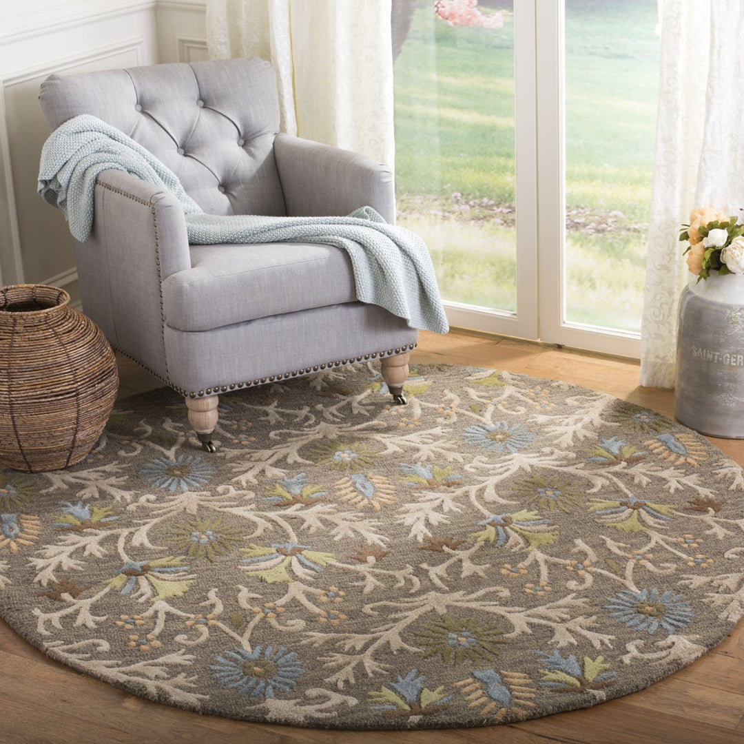 SAFAVIEH Cambridge CAM235A Handmade Moss / Multi Rug Image 10