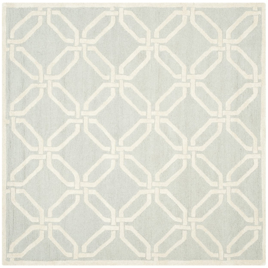 SAFAVIEH Cambridge CAM311L Light Grey / Ivory Rug Image 6