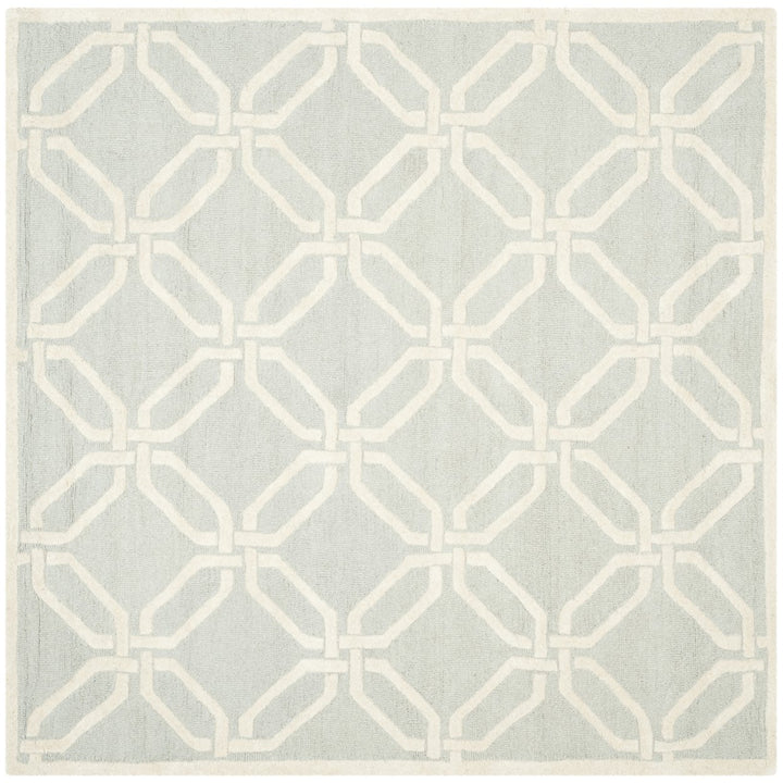 SAFAVIEH Cambridge CAM311L Light Grey / Ivory Rug Image 6