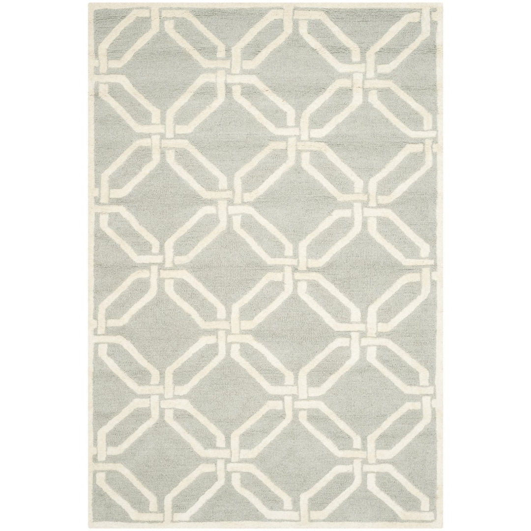 SAFAVIEH Cambridge CAM311L Light Grey / Ivory Rug Image 10