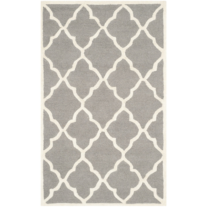 SAFAVIEH Cambridge CAM312D Dark Grey / Ivory Rug Image 9