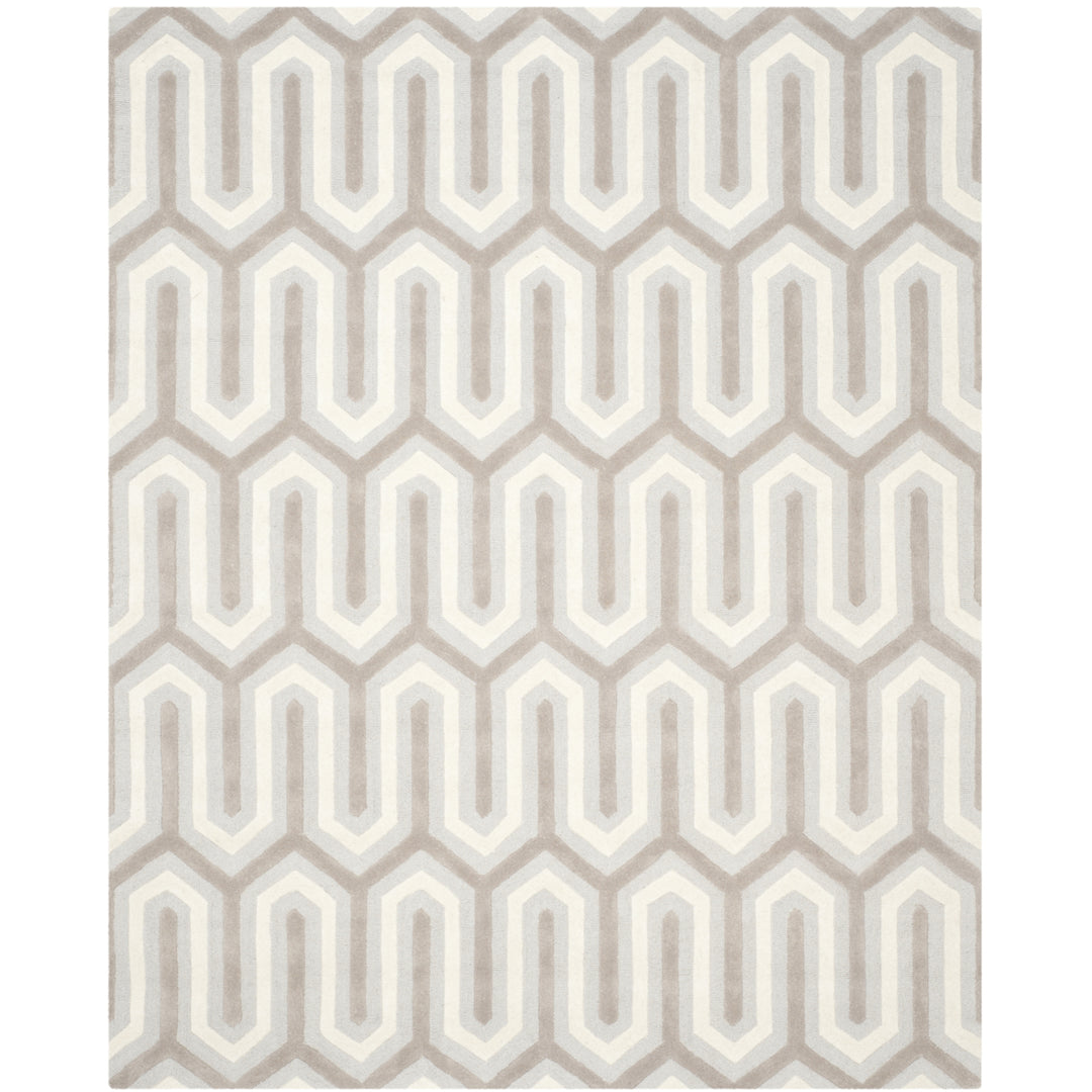 SAFAVIEH Cambridge CAM351E Light Blue / Grey Rug Image 1