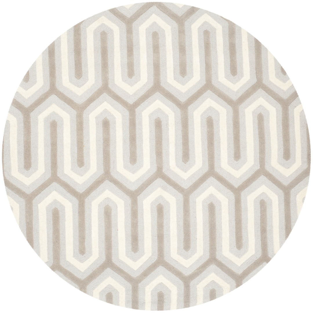 SAFAVIEH Cambridge CAM351E Light Blue / Grey Rug Image 4