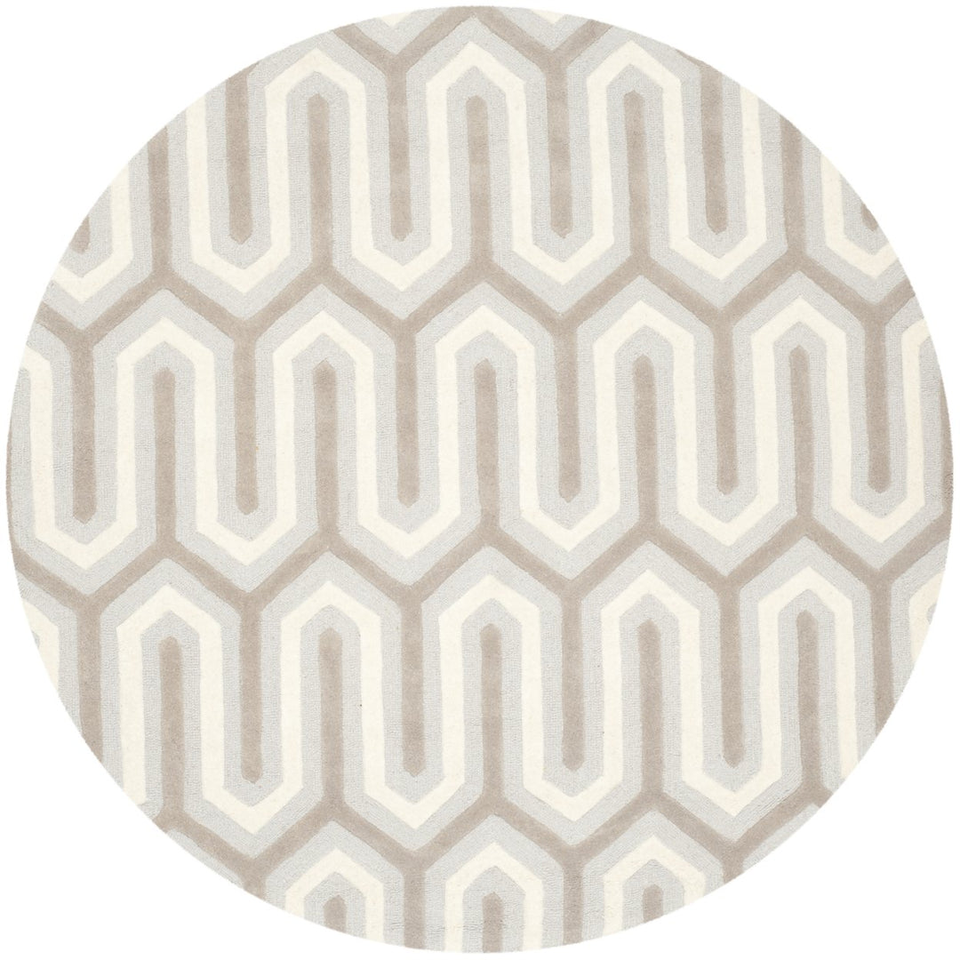 SAFAVIEH Cambridge CAM351E Light Blue / Grey Rug Image 1