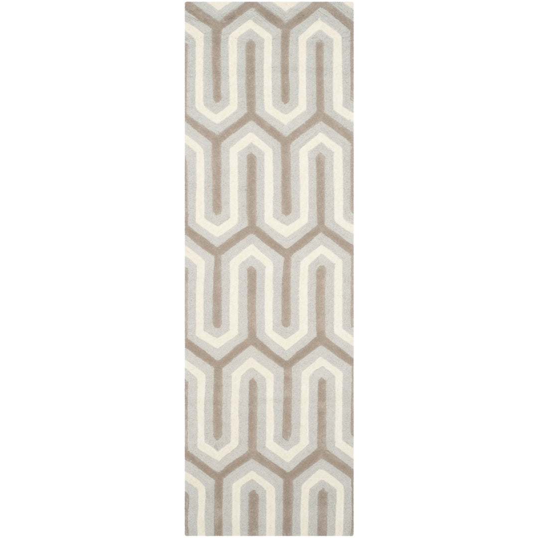 SAFAVIEH Cambridge CAM351E Light Blue / Grey Rug Image 5