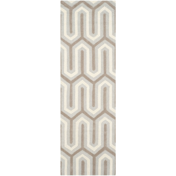 SAFAVIEH Cambridge CAM351E Light Blue / Grey Rug Image 5