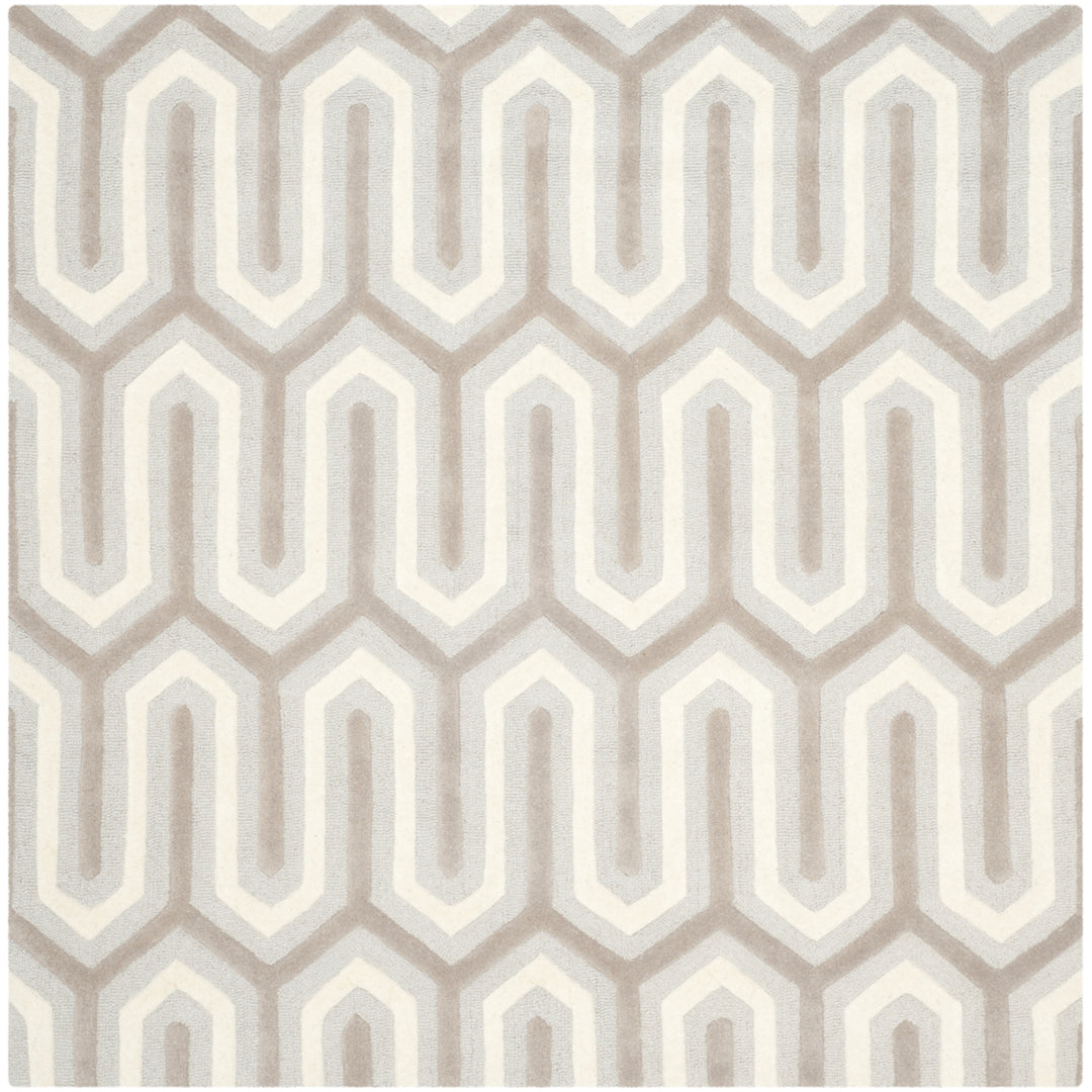 SAFAVIEH Cambridge CAM351E Light Blue / Grey Rug Image 6