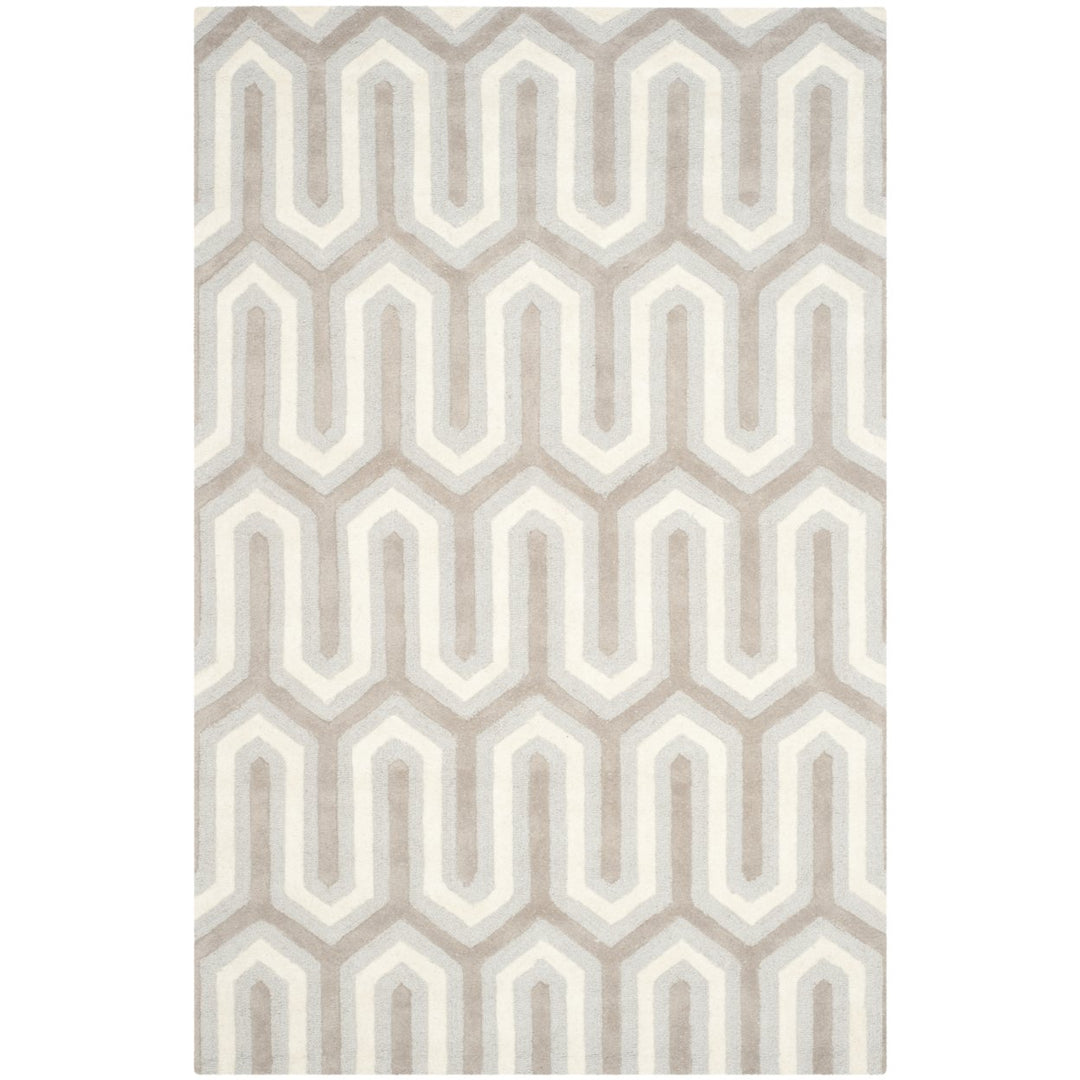 SAFAVIEH Cambridge CAM351E Light Blue / Grey Rug Image 1