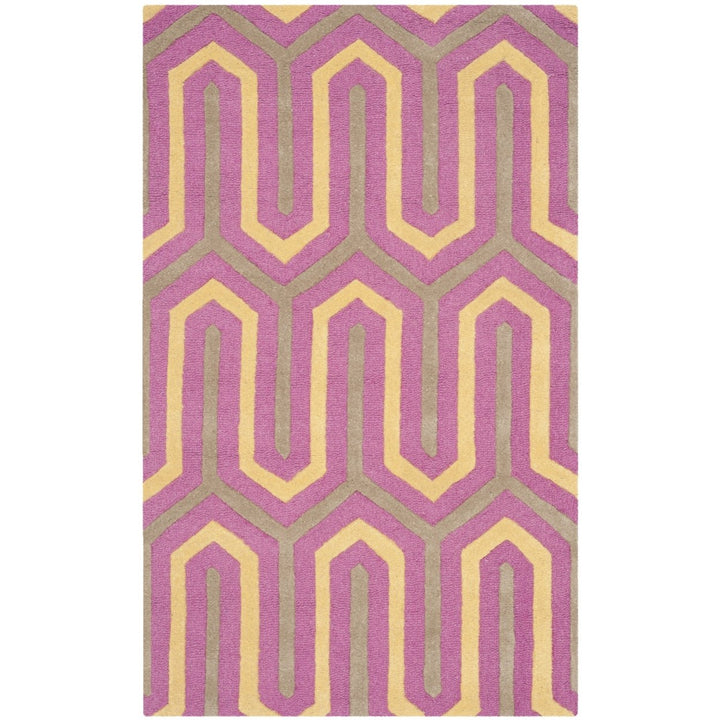 SAFAVIEH Cambridge CAM351F Handmade Fuchsia /Grey Rug Image 9