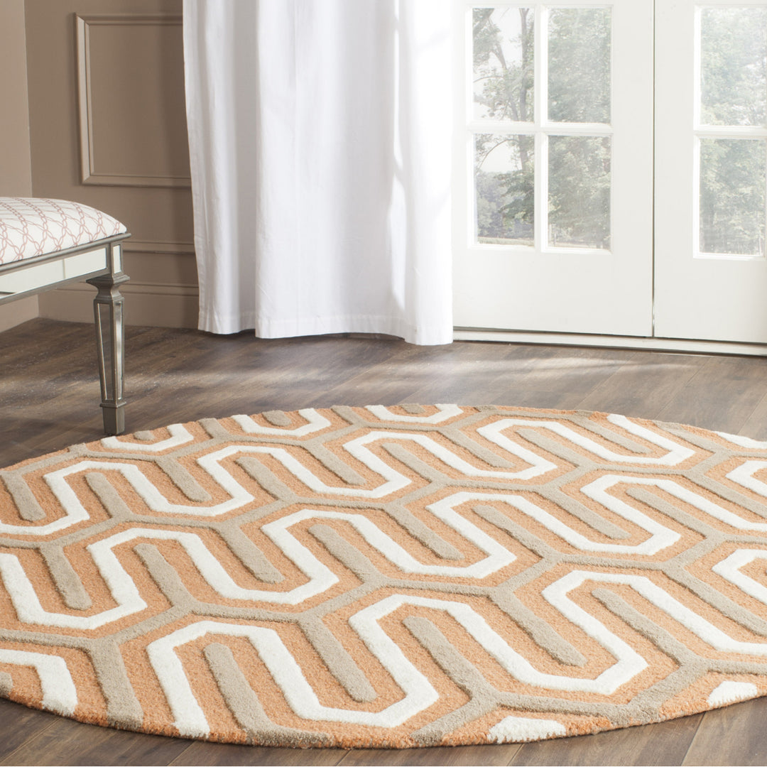 SAFAVIEH Cambridge CAM351Y Handmade Orange / Grey Rug Image 2