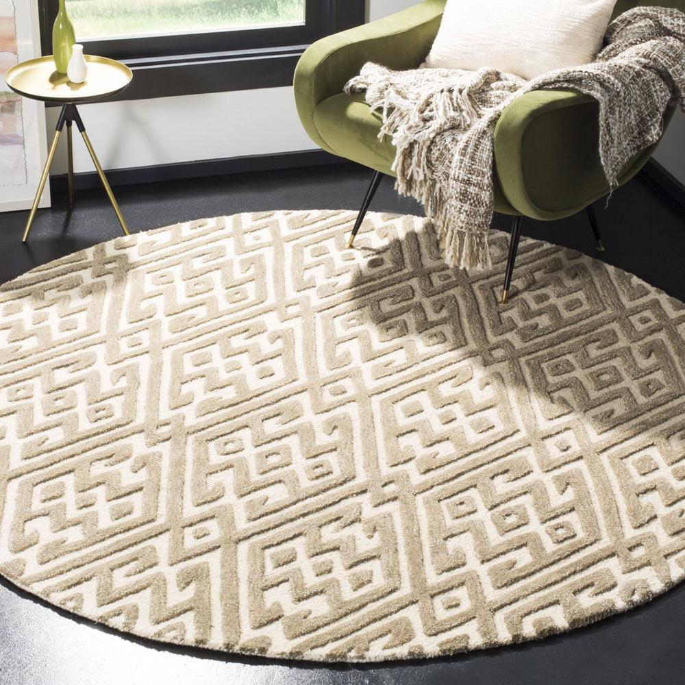 SAFAVIEH Cambridge CAM401A Handmade Ivory / Grey Rug Image 2