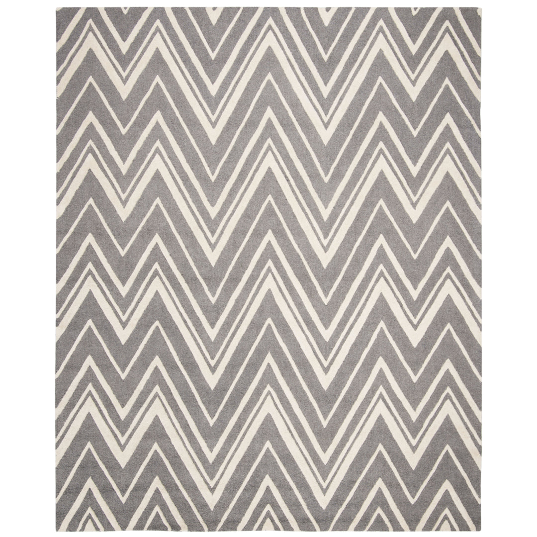 SAFAVIEH Cambridge CAM711D Dark Grey / Ivory Rug Image 1