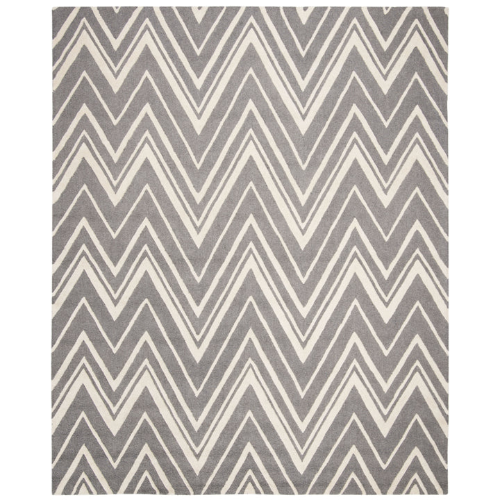 SAFAVIEH Cambridge CAM711D Dark Grey / Ivory Rug Image 1