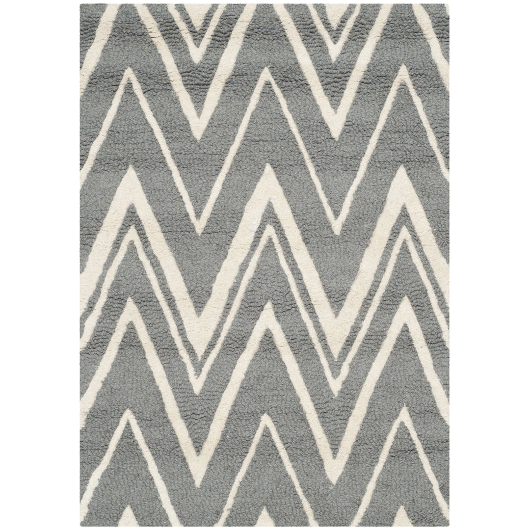 SAFAVIEH Cambridge CAM711D Dark Grey / Ivory Rug Image 9