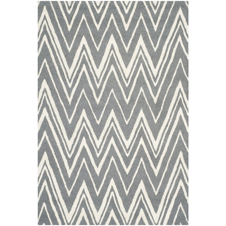 SAFAVIEH Cambridge CAM711D Dark Grey / Ivory Rug Image 10