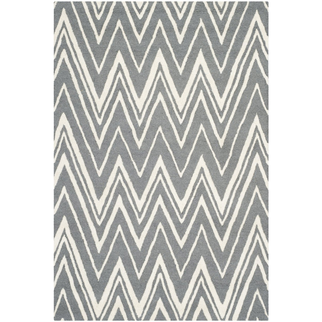 SAFAVIEH Cambridge CAM711D Dark Grey / Ivory Rug Image 1