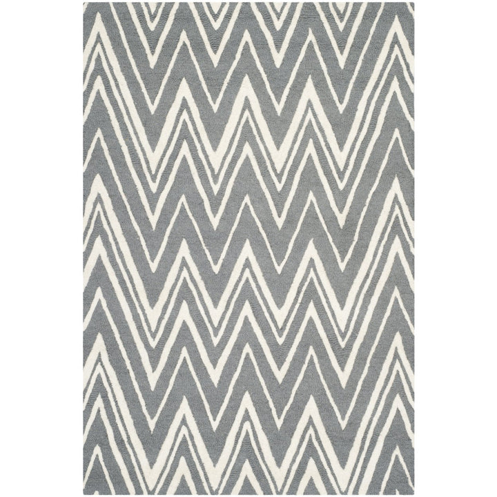 SAFAVIEH Cambridge CAM711D Dark Grey / Ivory Rug Image 1