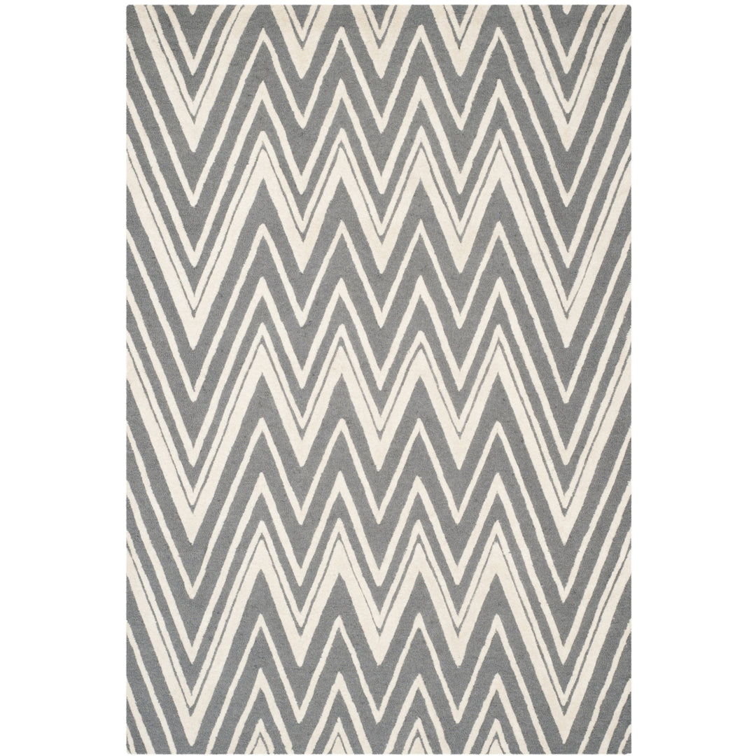 SAFAVIEH Cambridge CAM711D Dark Grey / Ivory Rug Image 11