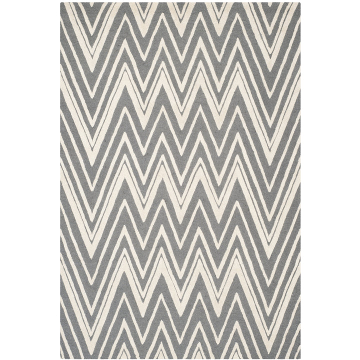 SAFAVIEH Cambridge CAM711D Dark Grey / Ivory Rug Image 11