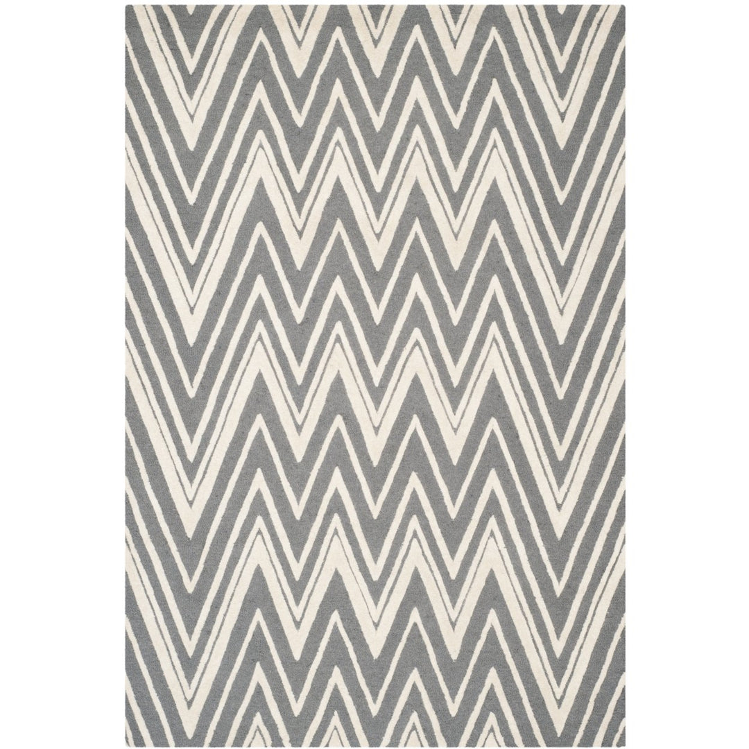 SAFAVIEH Cambridge CAM711D Dark Grey / Ivory Rug Image 1