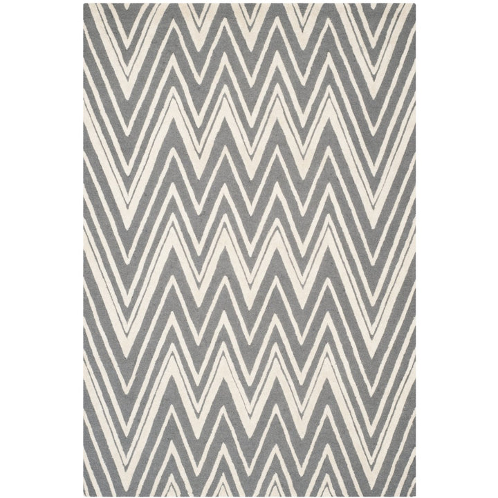 SAFAVIEH Cambridge CAM711D Dark Grey / Ivory Rug Image 1