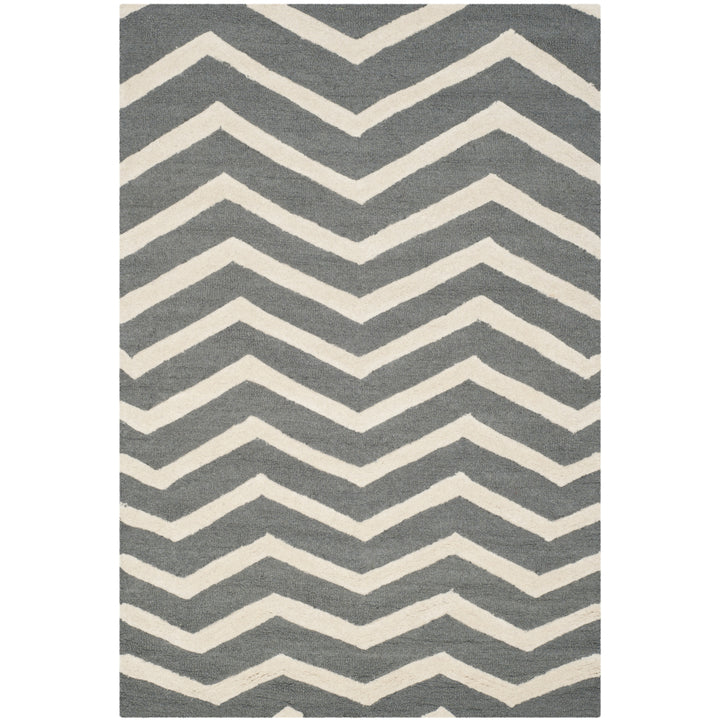 SAFAVIEH Cambridge CAM714D Dark Grey / Ivory Rug Image 5