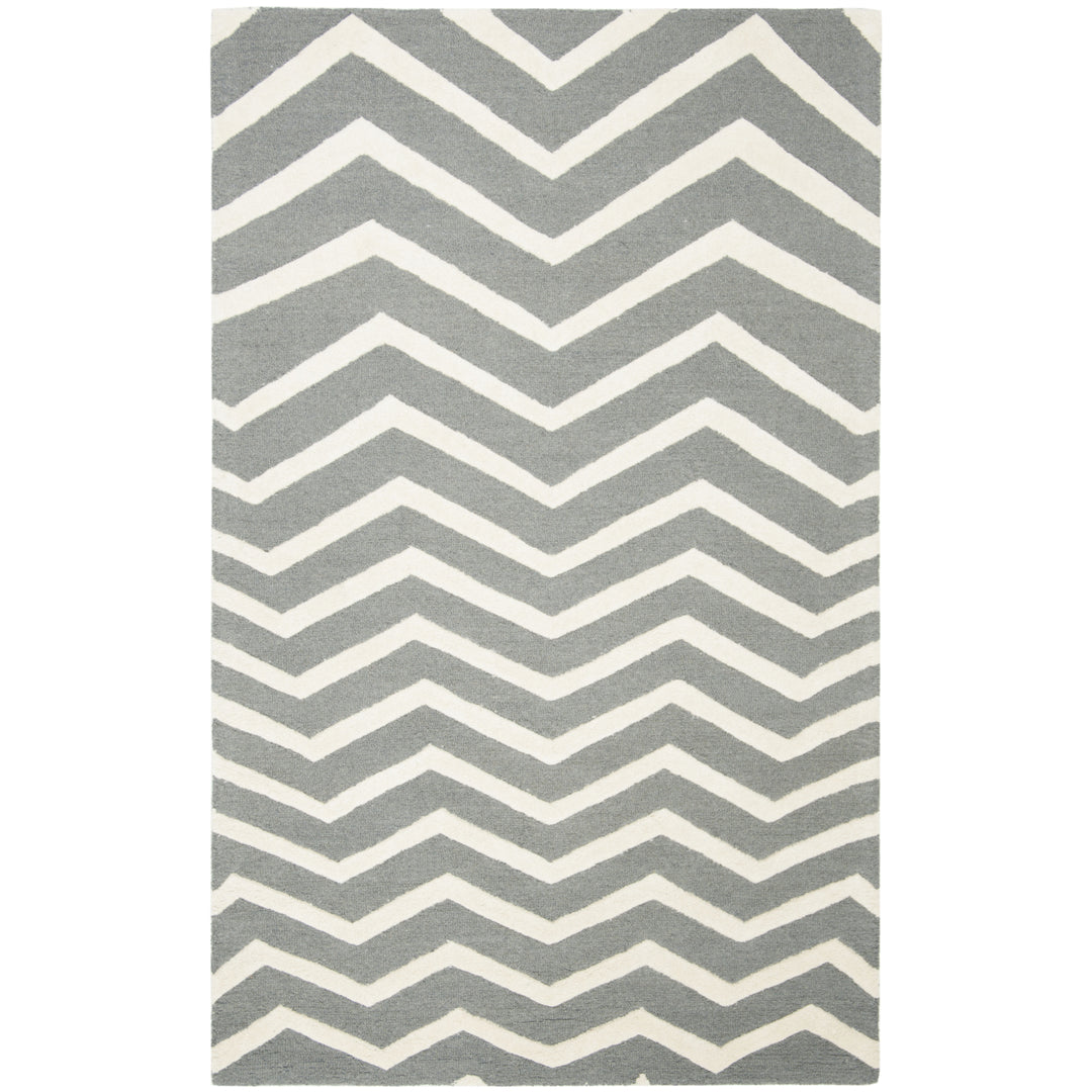 SAFAVIEH Cambridge CAM714D Dark Grey / Ivory Rug Image 6